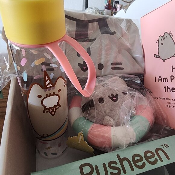 🔴SOLD🔴Pusheen Box Summer 2018 - Includes 7 out of 8 items BNWT, sealed, unopen - Picture 3 of 16